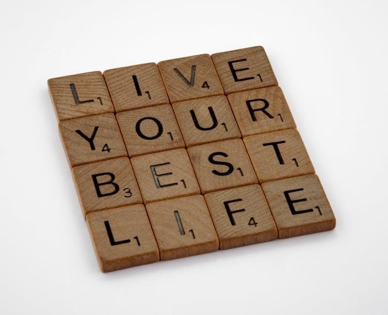 game of life instructions 2007 pdf