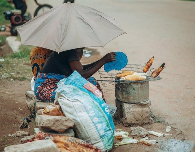 coleman roadtrip grill manual