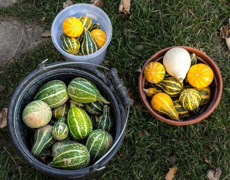 rusty bucket nutrition pdf